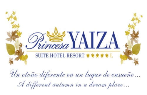 pyaiza_logo