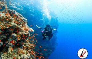 articulo_buceo_1