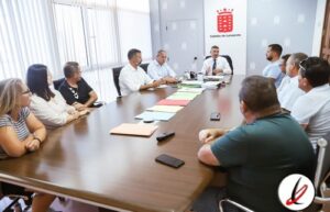 apoyo_cabildo_lucha_canaria_1