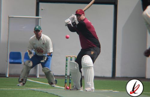 cricket_2022