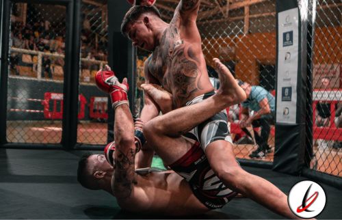 mma_felixhernandez_vs_heronstewart