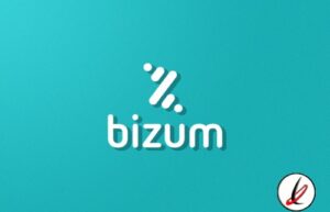 articulo_bizum_1