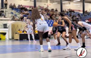 basket_almeda_magec_1