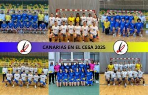 selecciones_balonmano_cesa_1