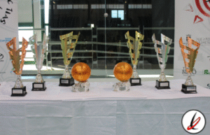 trofeos_torneo_candelaria