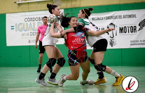 brenda_previa_zonzamas_mislata_1