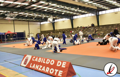 bjj_judo