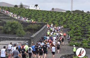previa_lanzarote_wine_run_1