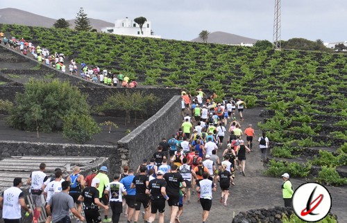 previa_lanzarote_wine_run_1