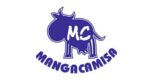 banner manga camisa