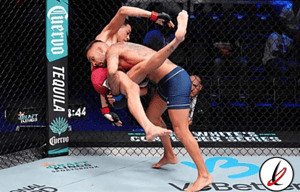 hecher sosa vs mackson lee