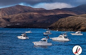 pesca_previa_marlin_cup_1