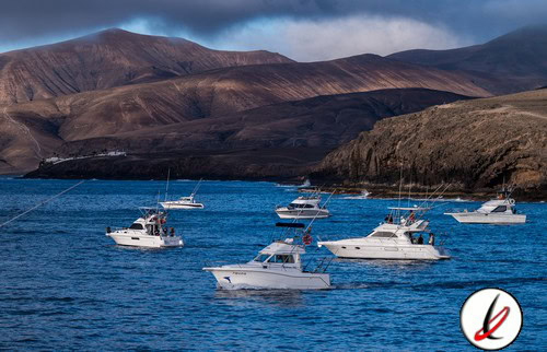 pesca_previa_marlin_cup_1