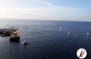 previa_torneo_pesca_altura_latinosa_