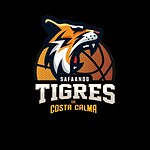 C.D. Los Tigres Del Sur