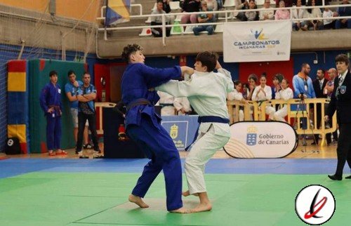 Lucha de judo entre dos competidores en un torneo en Lanzarote, con espectadores y jueces observando en el fondo.