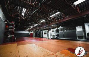 articulo_mma_1
