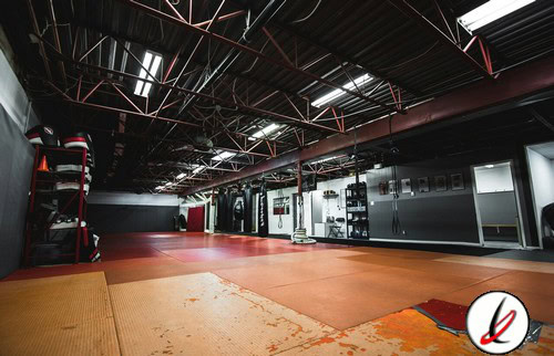 articulo_mma_1