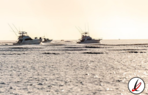 Pesca La Tiñosa 2025
